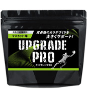 アップグレードPRO